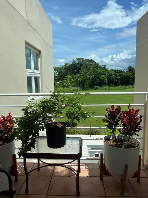 דוראדו Villa Merchan 6 Guests 3Br & 3,5 Bathrooms פוארטו ריקו